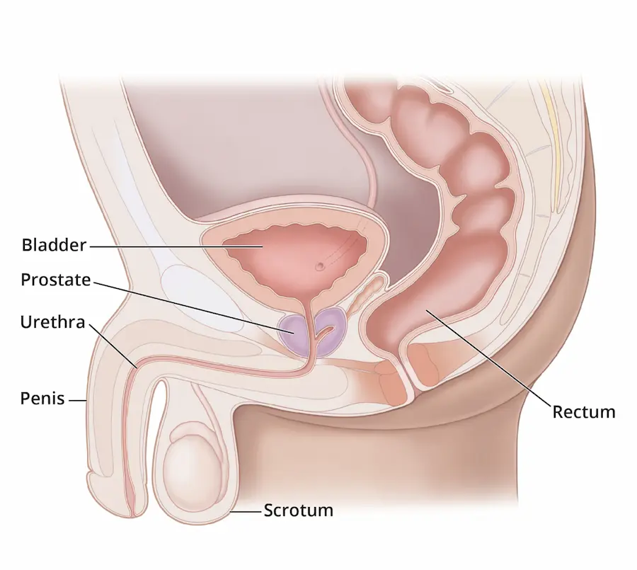 enlarged prostate Feature image